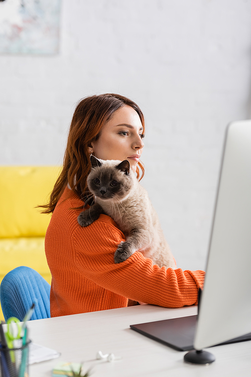 young freelancer sitting with cat near blurred computer monitor and graphic tablet