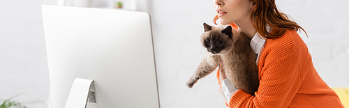 partial view of woman holding cat near computer monitor, banner