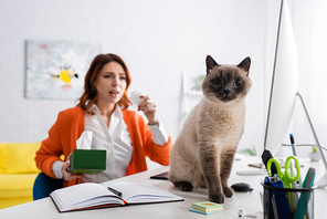 selective focus of cat sitting on work desk near blurred allergic woman with paper napkins