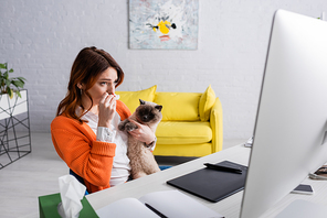 allergic woman suffering from allergy while sitting at workplace with cat