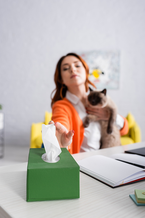 blurred allergic woman taking paper napkin while sitting with cat at work desk