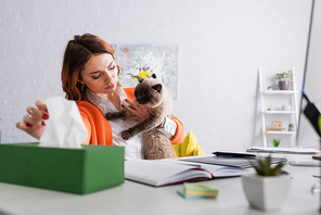 allergic woman with cat taking paper napkin from blurred pack while sitting at work desk at home