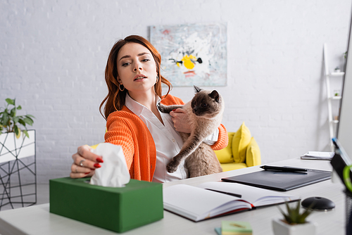 allergic woman sitting with cat near graphic tablet and taking paper napkin from blurred pack