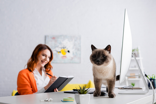 cat on work desk near blurred freelancer writing in notebook while working at home
