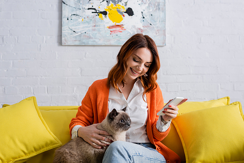 pleased woman looking at fluffy cat while sitting on yellow couch with mobile phone
