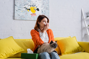 allergic woman sneezing in paper napkin while sitting on couch with cat