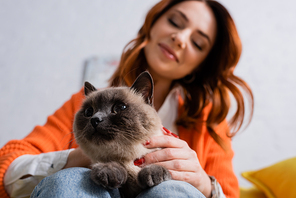 low angle view of blurred happy woman sitting with cat at home