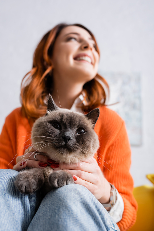 low angle view of blurred cheerful woman sitting with furry cat at home