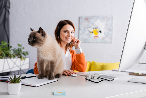 cat sitting on desk near blurred woman working in headset at home