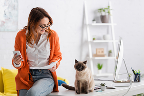 smiling freelancer with smartphone and documents looking at cat sitting on work desk near monitor