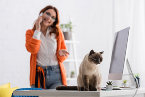 blurred woman talking on cellphone and pointing at cat sitting on desk near computer monitor
