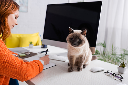 fluffy cat sitting on desk near woman writing in notebook and computer monitor with blank screen