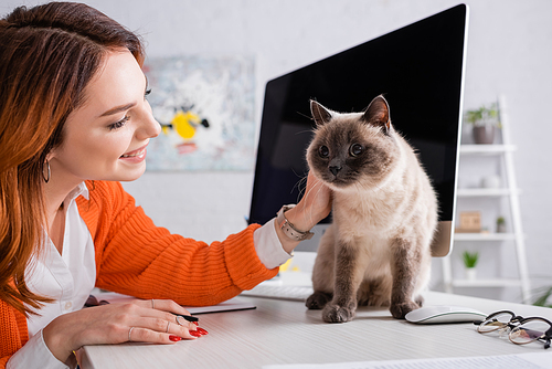 joyful woman stroking cat sitting on desk near monitor with blank screen