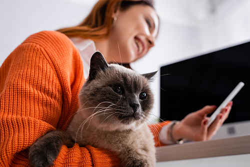 low angle view of blurred woman with cat using smartphone while working at home