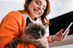 low angle view of happy blurred woman with fluffy cat and smartphone