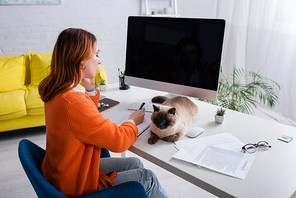 young woman working near monitor with blank screen and cat lying on desk