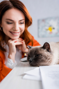 selective focus of cat lying on desk near freelancer smiling on blurred background