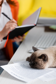 partial view of blurred woman writing in notebook near cat sleeping on documents