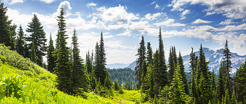 Beautiful mountain peak in  North Cascade Range, Washington,  USA