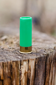close up of shotgun shell on wooden stump in woods
