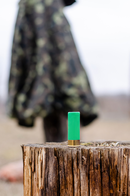 shotgun shell on wooden stump in woods with blurred background