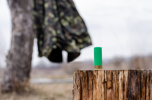 shotgun cartridge on wooden stump in forest