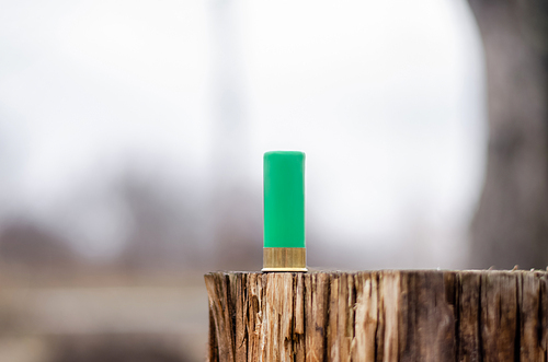 close up view of shotgun shell on wooden stump in woods