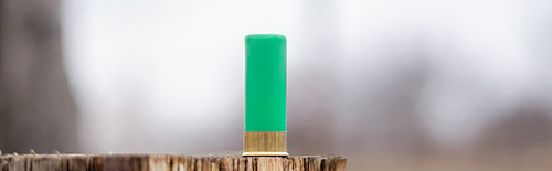 close up view of shotgun shell on wooden stump in woods, banner