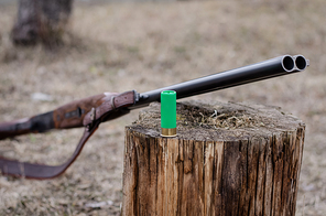 shotgun shell on wooden stump near rifle in woods