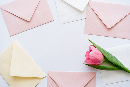 top view of pink tulip near pastel envelopes on white