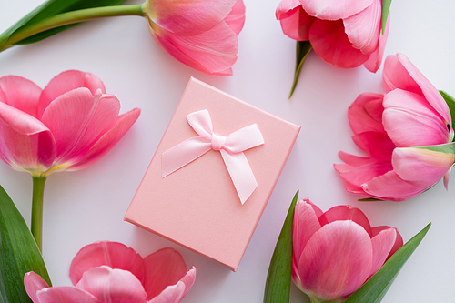 close up view of gift box near bright pink flowers on white