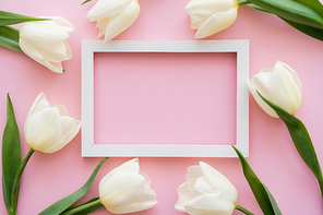 top view of white frame near tulips on pink
