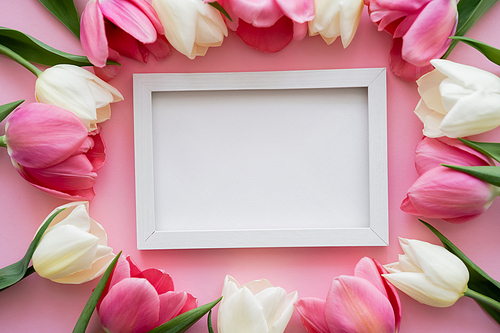 top view of colorful tulips around frame on pink