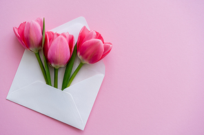 top view of blooming tulips in white envelope on pink, mothers day concept