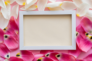 top view of empty frame on white and pink floral petals