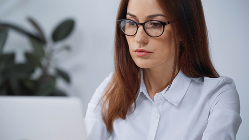 concentrated woman in eyeglasses working in office