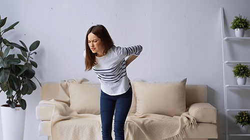 brunette woman with closed eyes standing near sofa and touching painful back