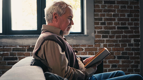 side view of bearded senior man reading book and sitting on couch