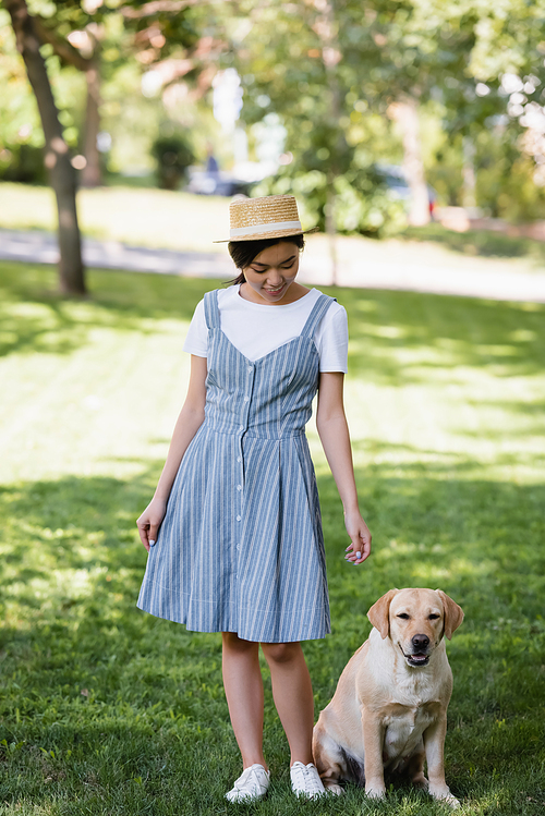 young asian woman in straw hat and striped sundress near yellow labrador in park