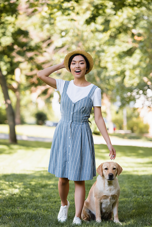 excited asian woman in striped sundress and straw hat  near dog in park