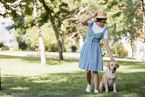 full length view of asian woman in straw hat and sundress stroking labrador in park