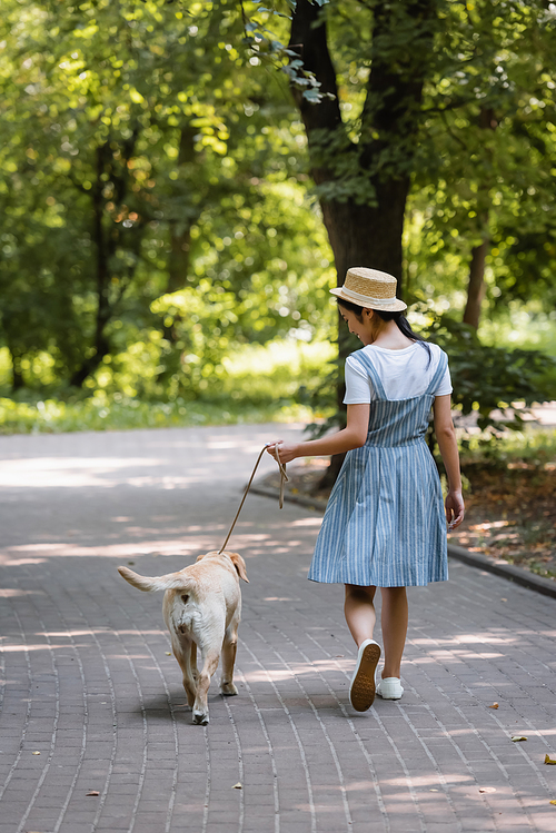 back view of woman in striped sundress walking in park with yellow labrador on leash