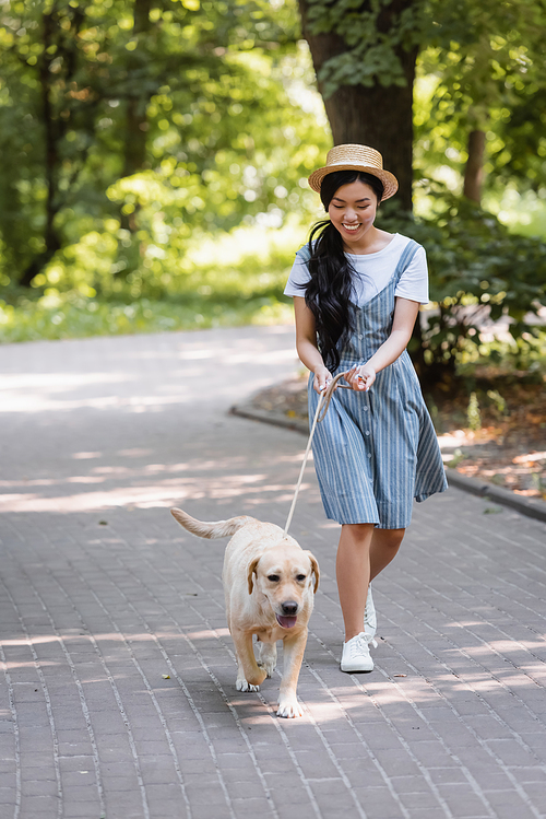 happy asian woman in striped sundress walking in park with yellow labrador on leash
