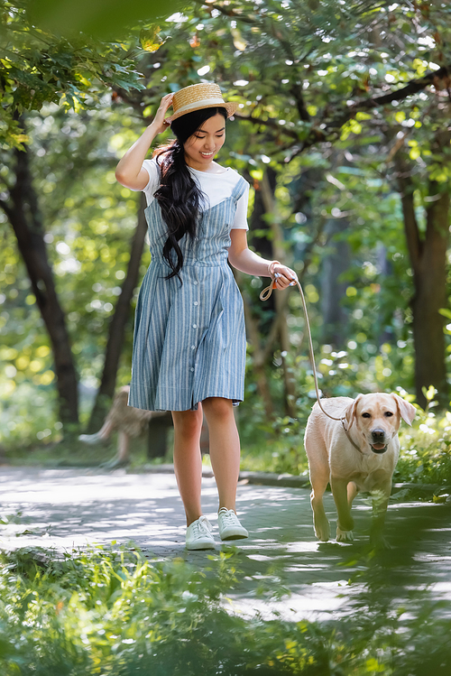 cheerful asian woman in straw hat and striped sundress walking with labrador in park