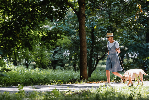 young asian woman in sundress and straw hat strolling with labrador in park