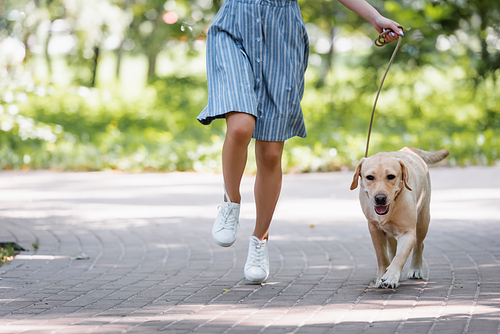 cropped view of woman running in park with labrador dog on leash