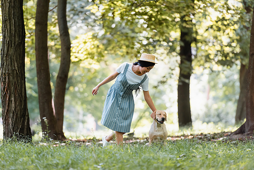 happy asian woman in striped sundress stroking labrador dog in park