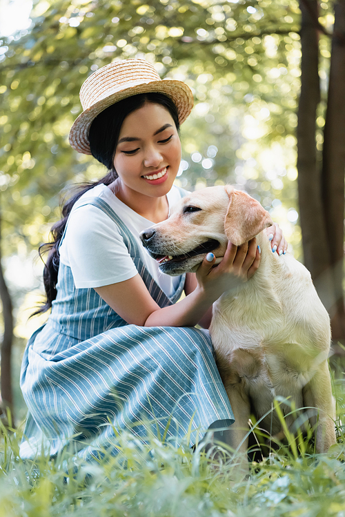 pleased asian woman in straw hat stroking labrador outdoors