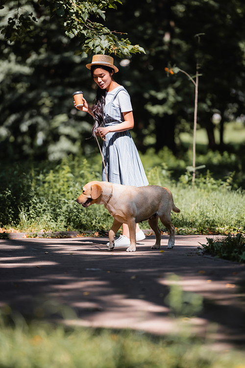 asian woman holding coffee to go while walking with yellow labrador in park