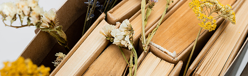 close up of books and dried flowers isolated on grey, top view, banner